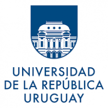 Representante de la Universidad de la República