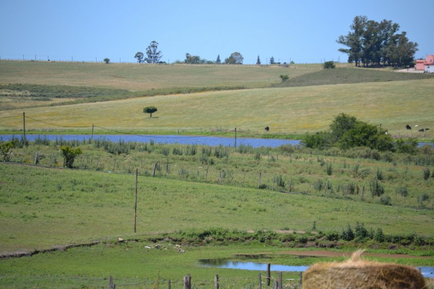 Imagen de paisaje campestre ""