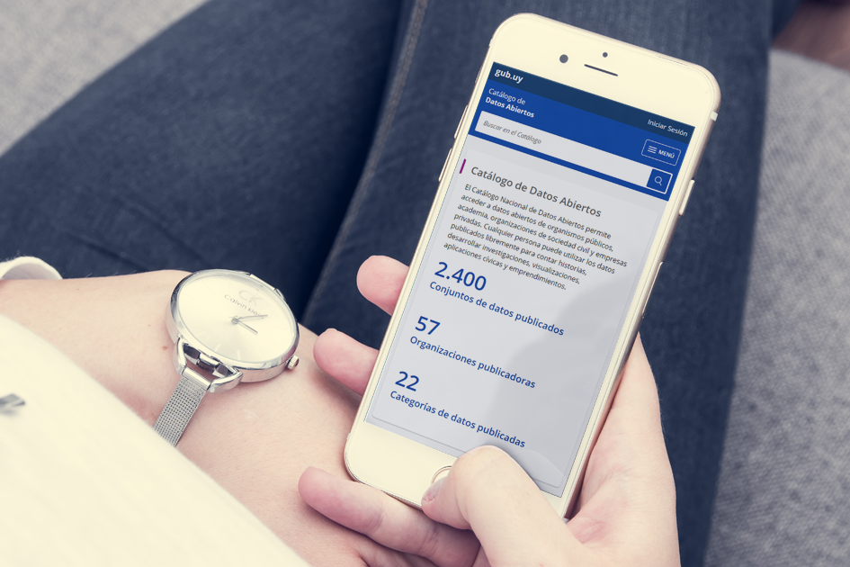 Pantalla de un celular dónde se muestra la página del Catálogo Nacional de Datos