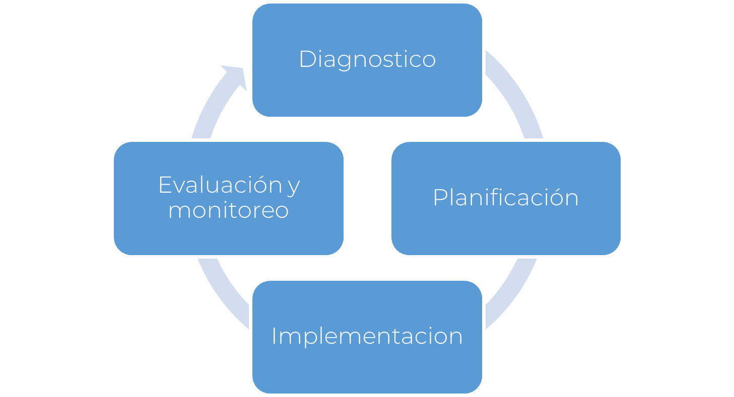 Fases del proceso de implementación