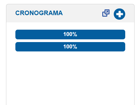 Ejemplo de pantalla en Siges en el campo "Cronograma"