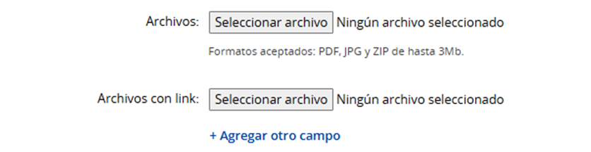 Ejemplo de campos para adjuntar archivos.