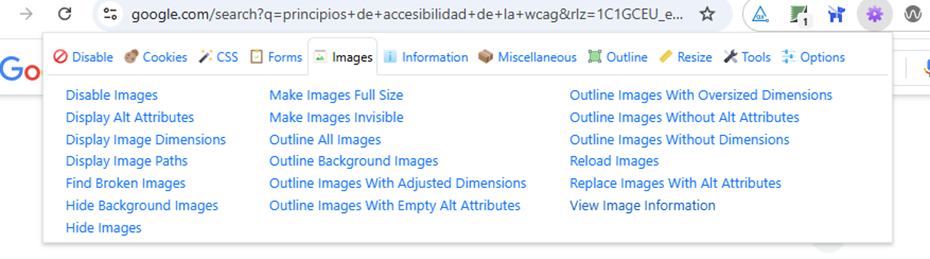 Pantalla principal del Web Developer