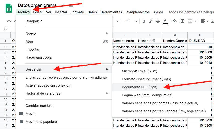 Descargar documento en pdf