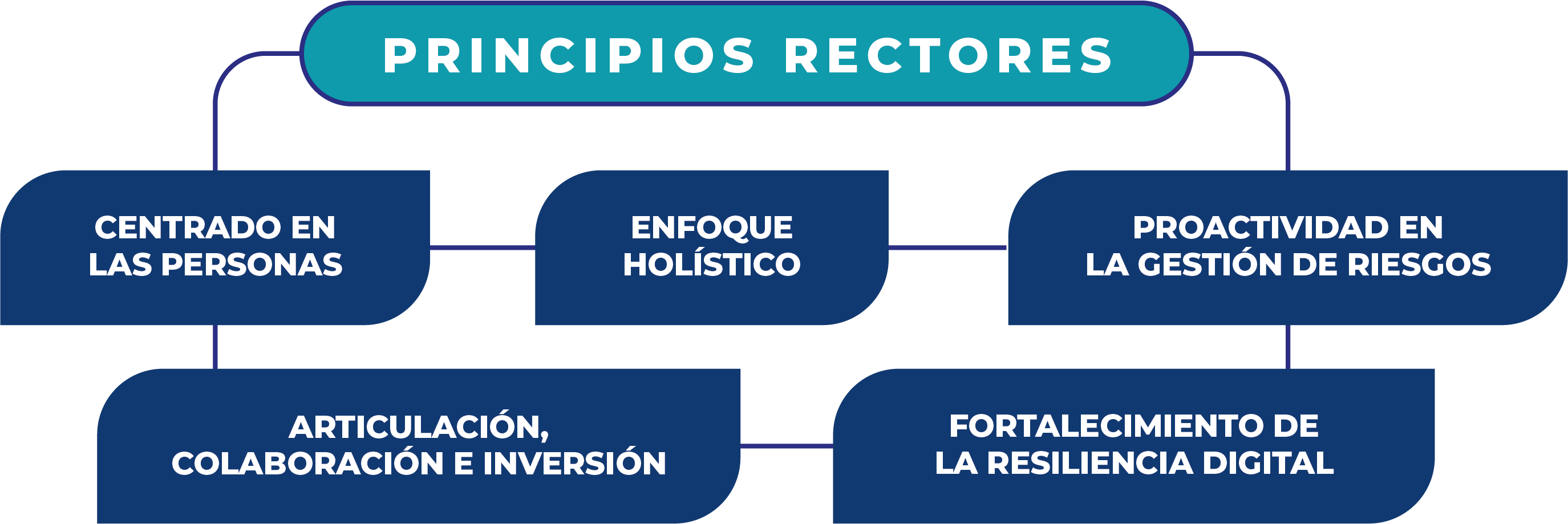 Principios rectores