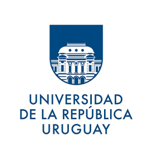 Representante Academia