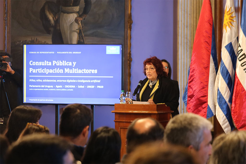 Lydia Garrido, presentando el contenido de la consulta pública