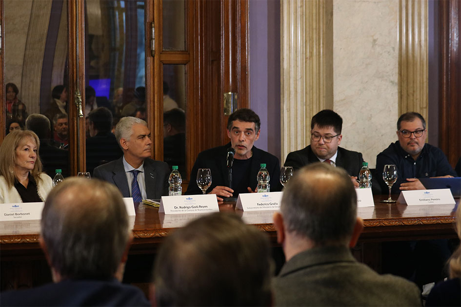 Federico Graña, subsecretario del Ministerio de Desarrollo Social exponiendo sus ideas