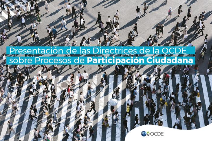 Presentación de las Directrices de la OCDE sobre Procesos de Participación Ciudadana