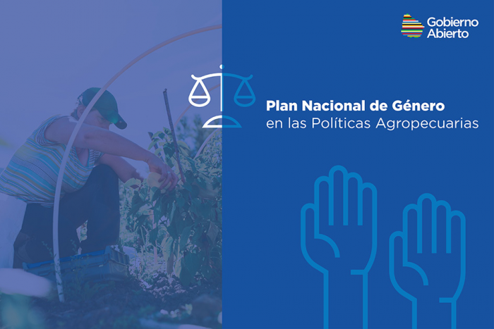 Plan Nacional de Genero