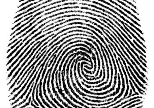 news021111_01b_0.jpg