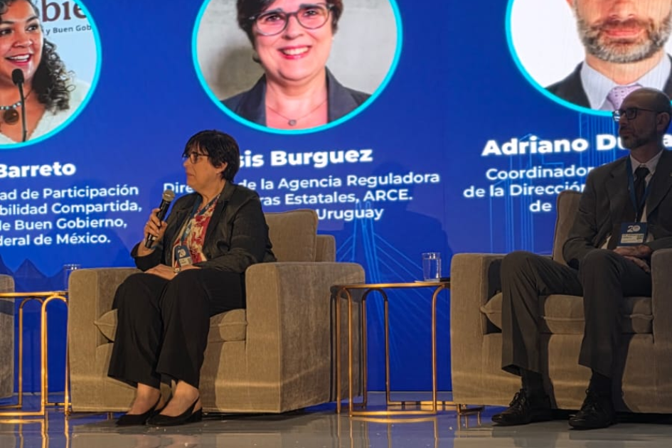 20.ª Conferencia Anual de la RICG 