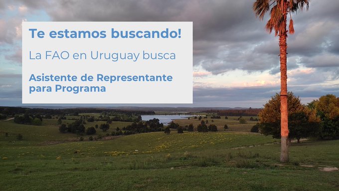 afiche