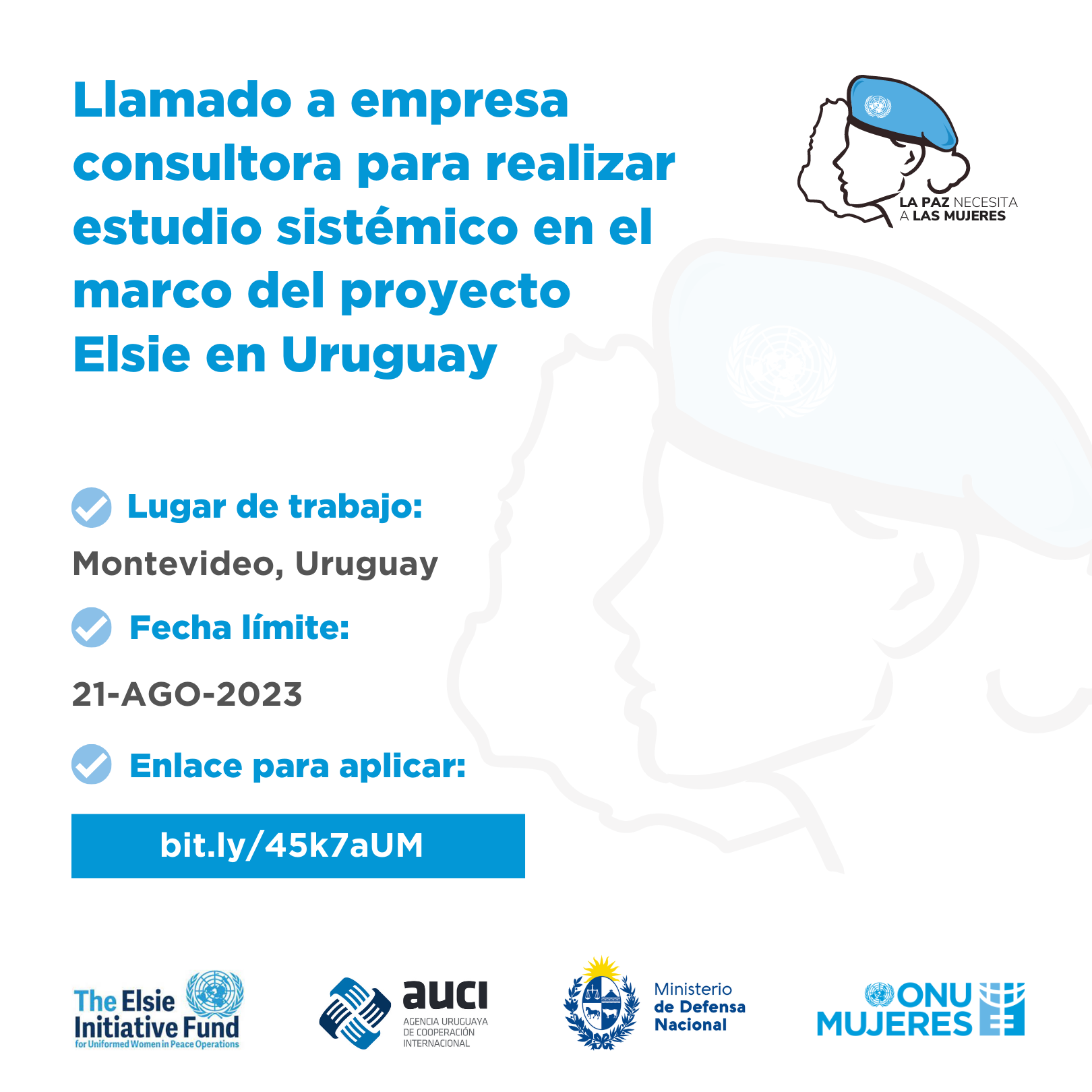 Proyecto Elsie