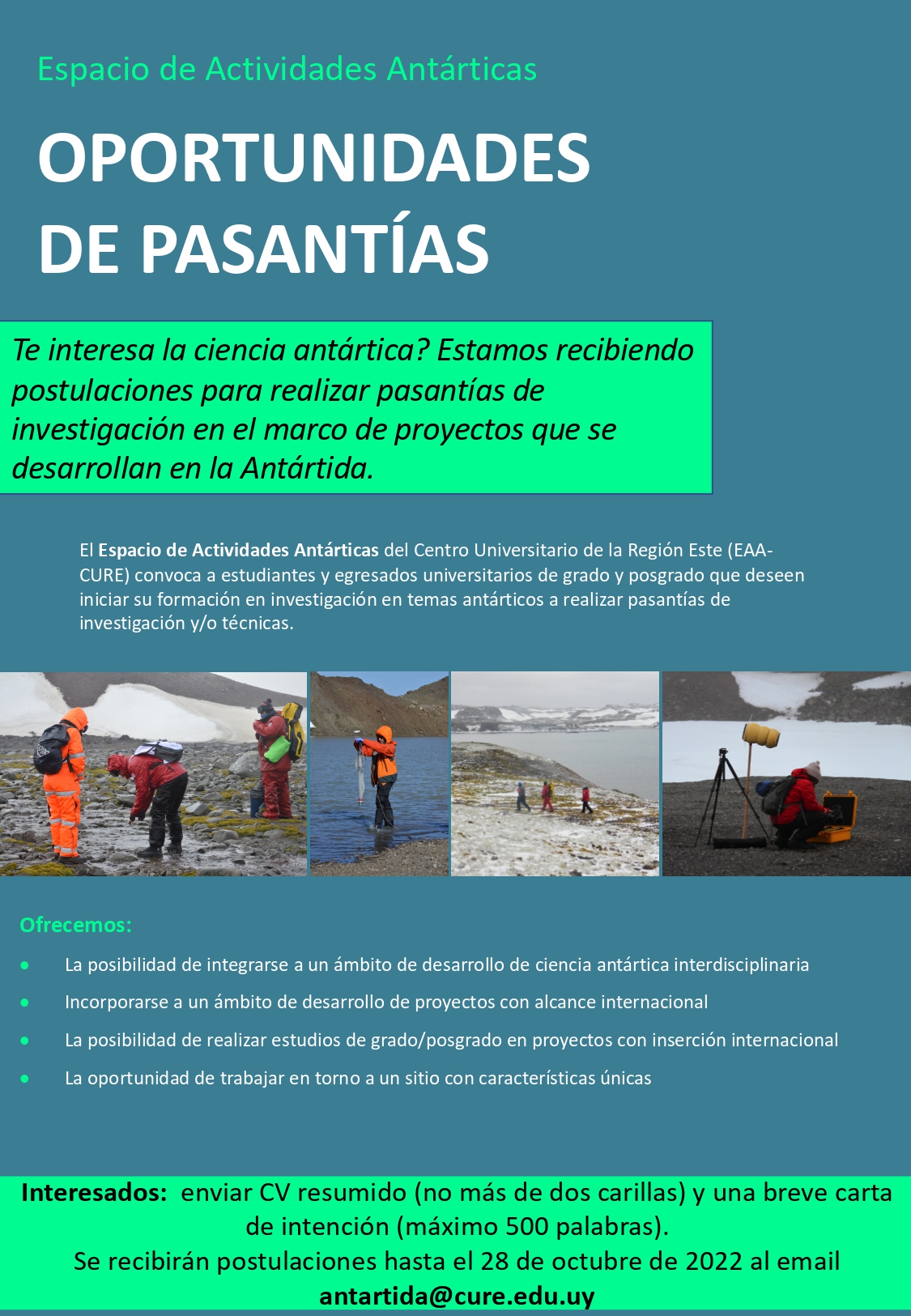 afiche pasantías