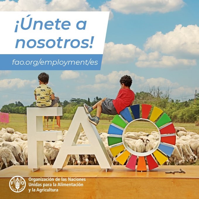 FAO Uruguay busca especialista en Seguridad Alimentaria y Nutricional