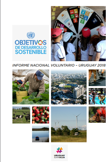informe voluntario ODS 2018