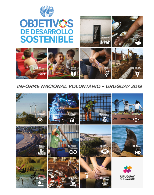 Informe Voluntario ODS 2019