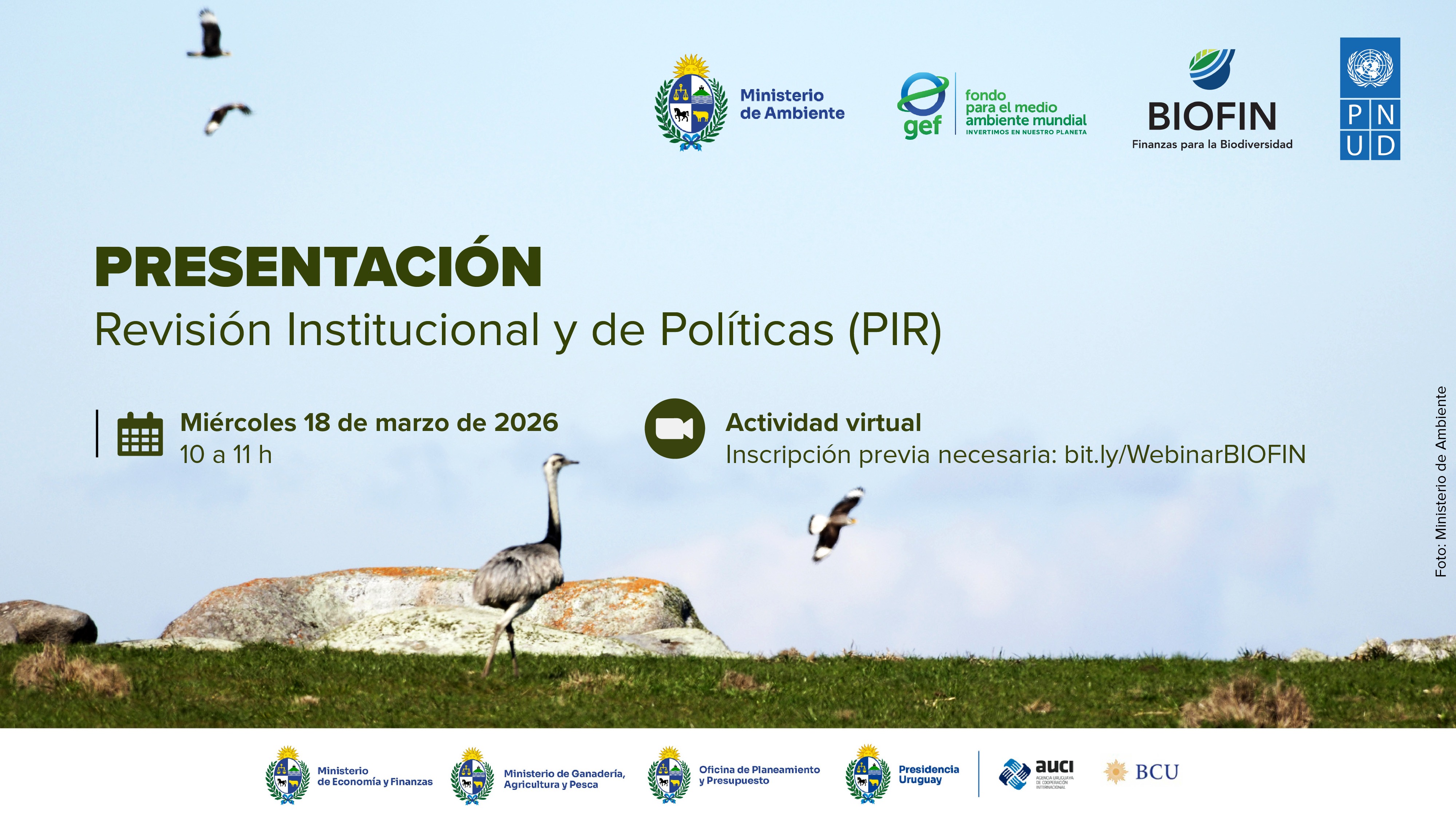 Invitación a actividad virtual