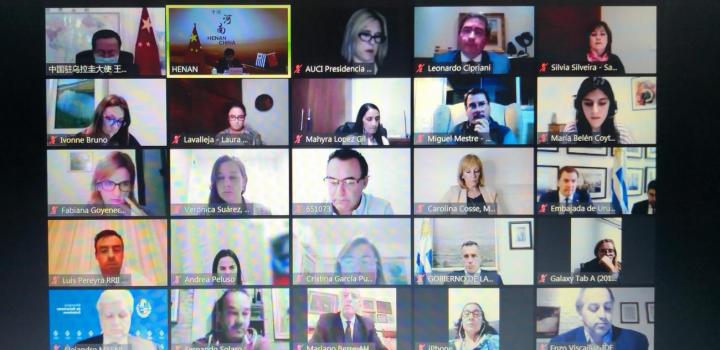 Encuentro de trabajo virtual