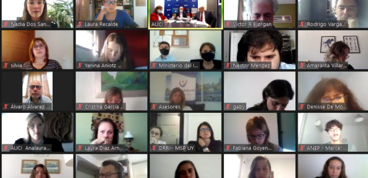 Reunión de trabajo virtual