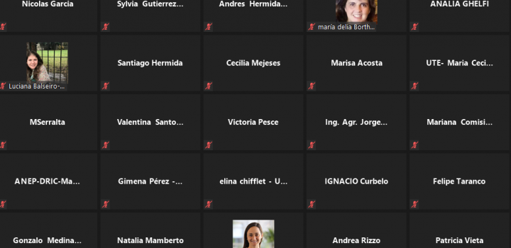 Reunión de trabajo virtual