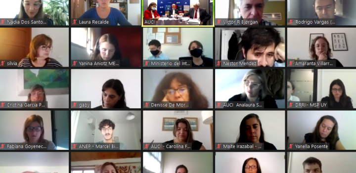 Reunión de trabajo virtual