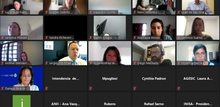 Reunión de trabajo virtual