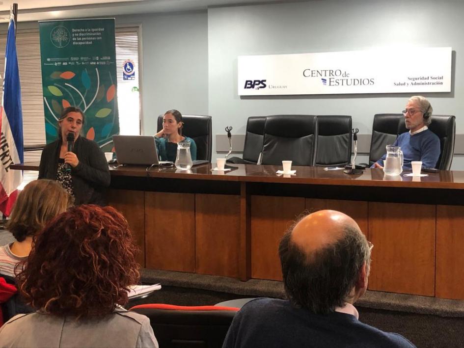 Taller sobre sistematización de datos sobre la población con discapacidad Taller sobre sistematización de datos sobre la población con discapacidad