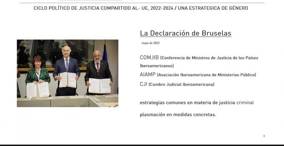 Webinario Violencia contra mujeres y niñas: una amenaza criminal global Webinario Violencia contra mujeres y niñas: una amenaza criminal global