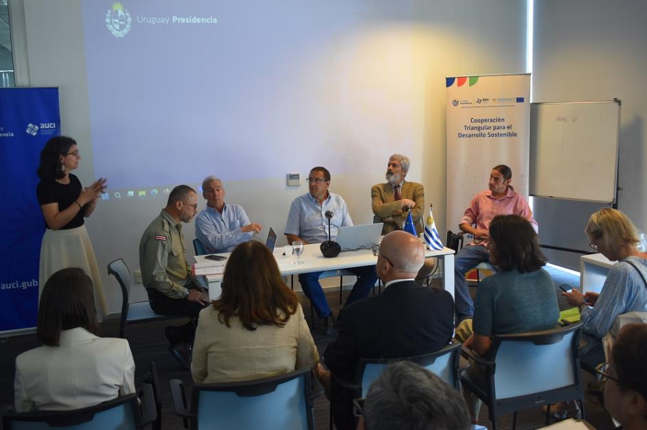 Reunión de equipos que trabajan en proyectos en el marco de la cooperación triangular UE - AUCI