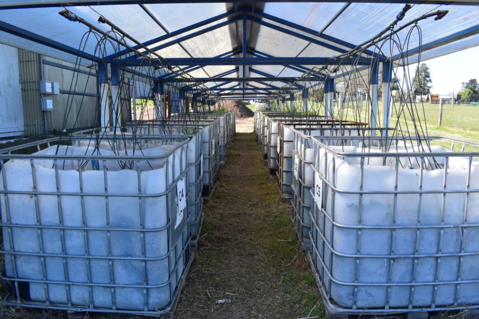 Técnicos de Panamá y Uruguay presentaron los resultados y aprendizajes del proyecto camas biológicas