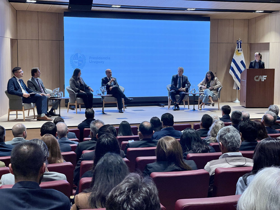 Presentación del Consejo Internacional de Observación y Cooperación 