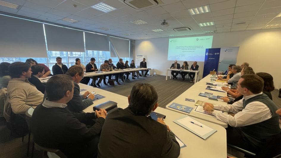 Reunión de integrantes de PIPAs de la Cooperación Iberoamericana Reunión de integrantes de PIPAs de la Cooperación Iberoamericana