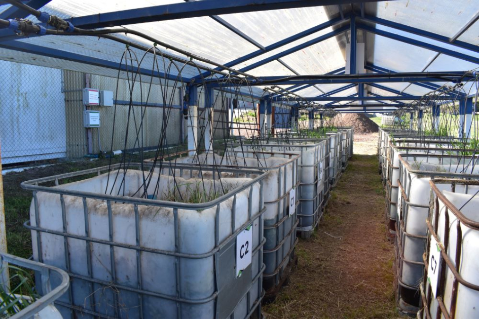 Técnicos de Panamá y Uruguay presentaron los resultados y aprendizajes del proyecto camas biológicas
