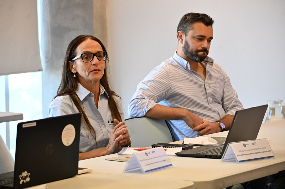 Encuentro de responsables de proyectos y equipo de gestión del Fondo Conjunto Uruguay – México