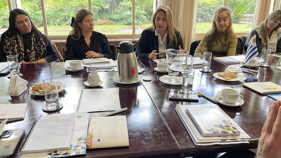 Cierre de la Iniciativa Facilidad de Desarrollo en Transición en Uruguay Cierre de la Iniciativa Facilidad de Desarrollo en Transición en Uruguay