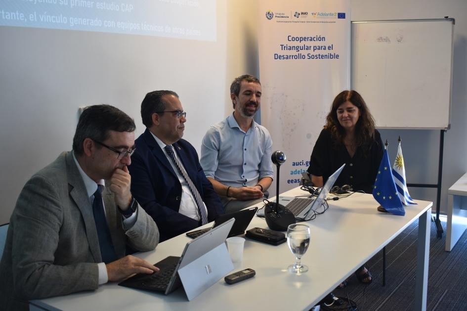 Reunión de equipos que trabajan en proyectos en el marco de la cooperación triangular UE - AUCI