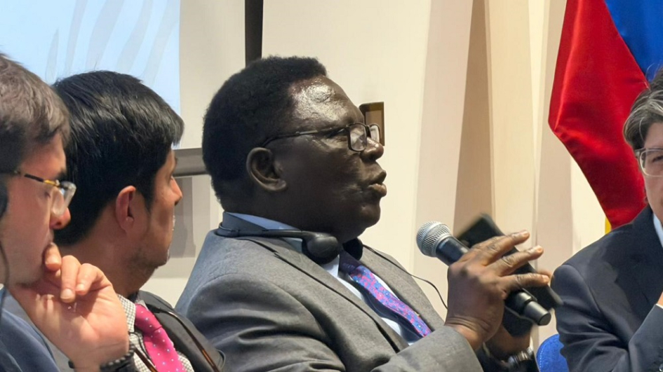 Panel 3: Cooperación Birregional. Foro de Alto Nivel Celac - África.