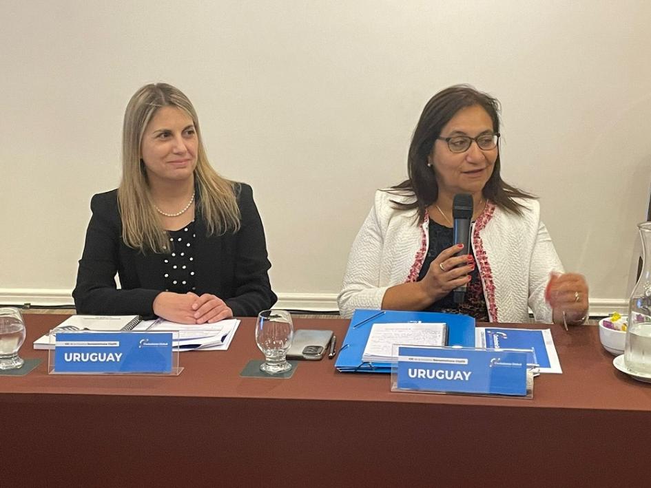 Encuentro de integrantes de CGpDS en Santiago de Chile