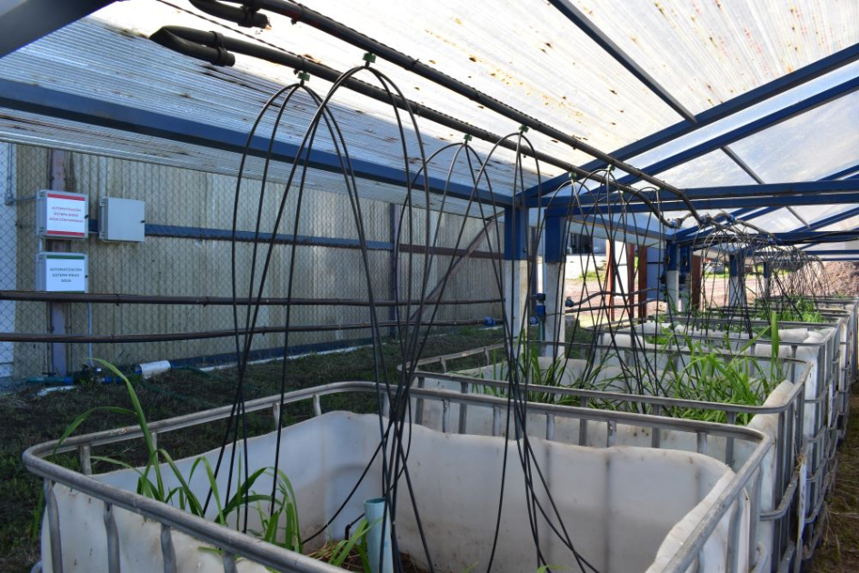 Técnicos de Panamá y Uruguay presentaron los resultados y aprendizajes del proyecto camas biológicas