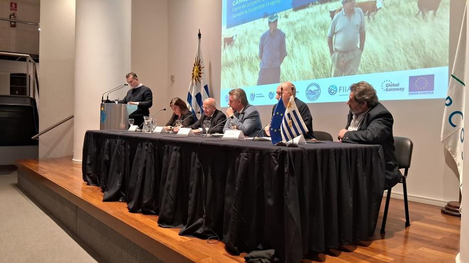 Unión Europea destina 3 millones de euros para renovar apoyo a la ganadería sostenible en Uruguay Unión Europea destina 3 millones de euros para renovar apoyo a la ganadería sostenible en Uruguay