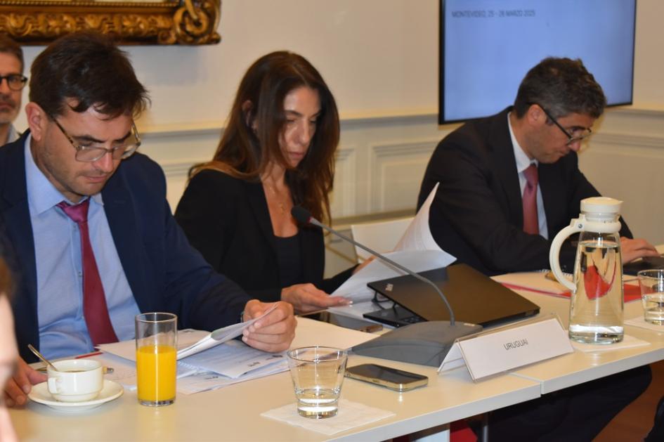 III Reunión de trabajo de coordinadores nacionales y responsables de cooperación 