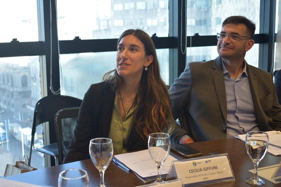 Reunión del Fondo Conjunto Uruguay - México