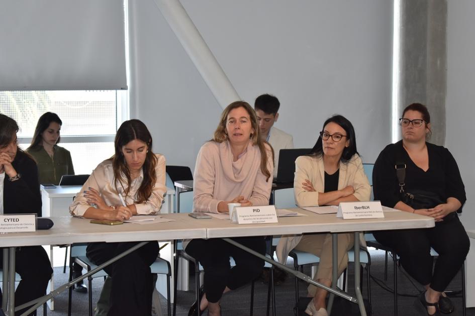 V Encuentro de puntos focales de los PIPAs de la cooperación iberoamericana