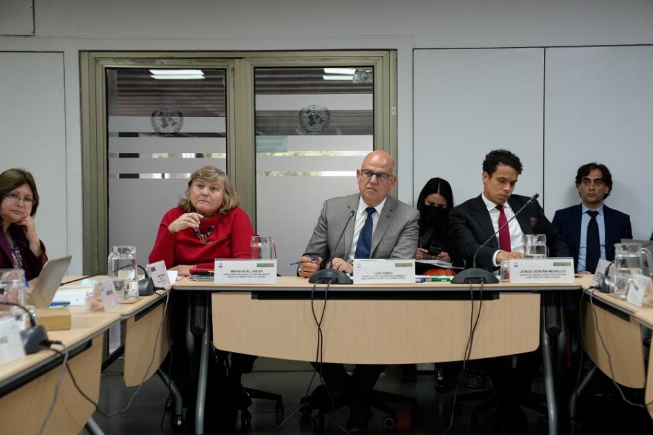 Nuevos retos y perspectivas de la cooperación internacional. Foto: Cepal Nuevos retos y perspectivas de la cooperación internacional. Foto: Cepal