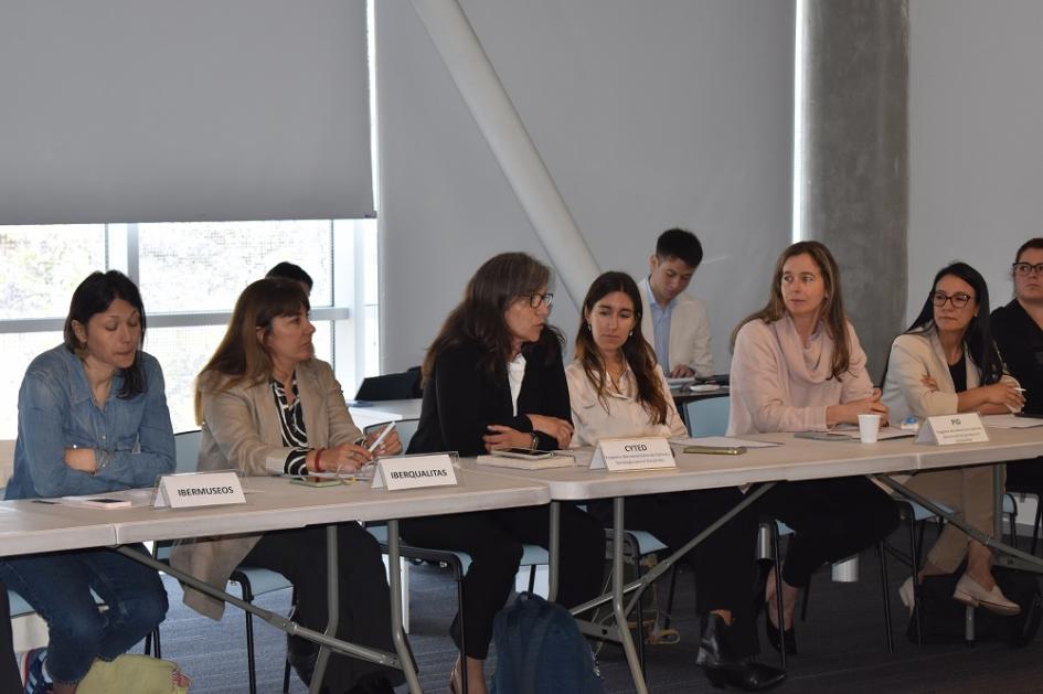 V Encuentro de puntos focales de los PIPAs de la cooperación iberoamericana