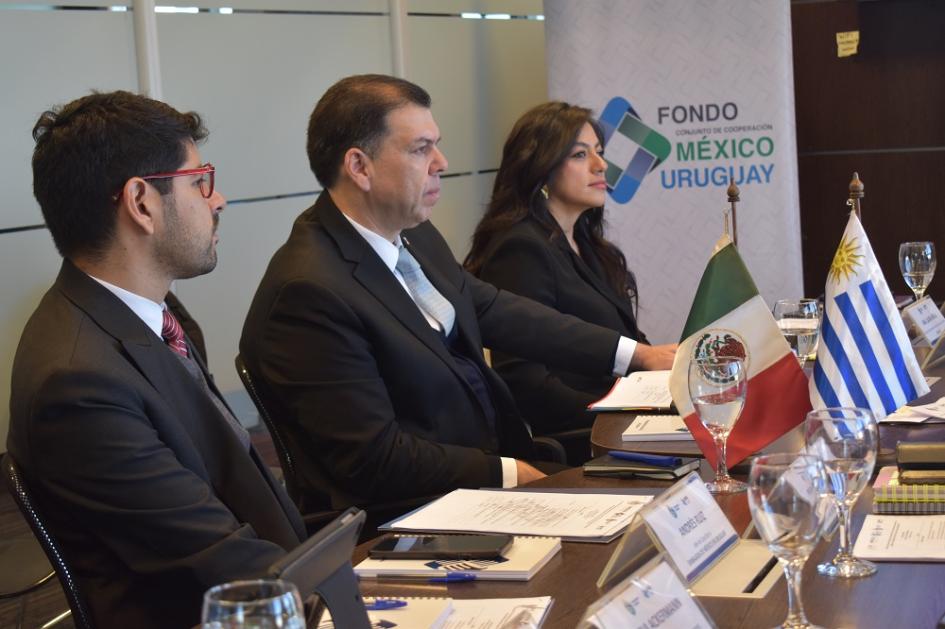 Reunión del Fondo Conjunto Uruguay - México