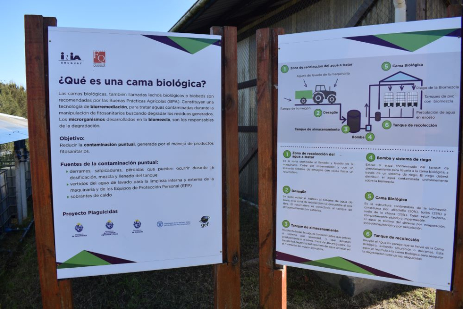 Técnicos de Panamá y Uruguay presentaron los resultados y aprendizajes del proyecto camas biológicas