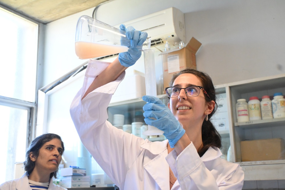 Programa integral de formación de formadores en innovación y sostenibiidad de empaques